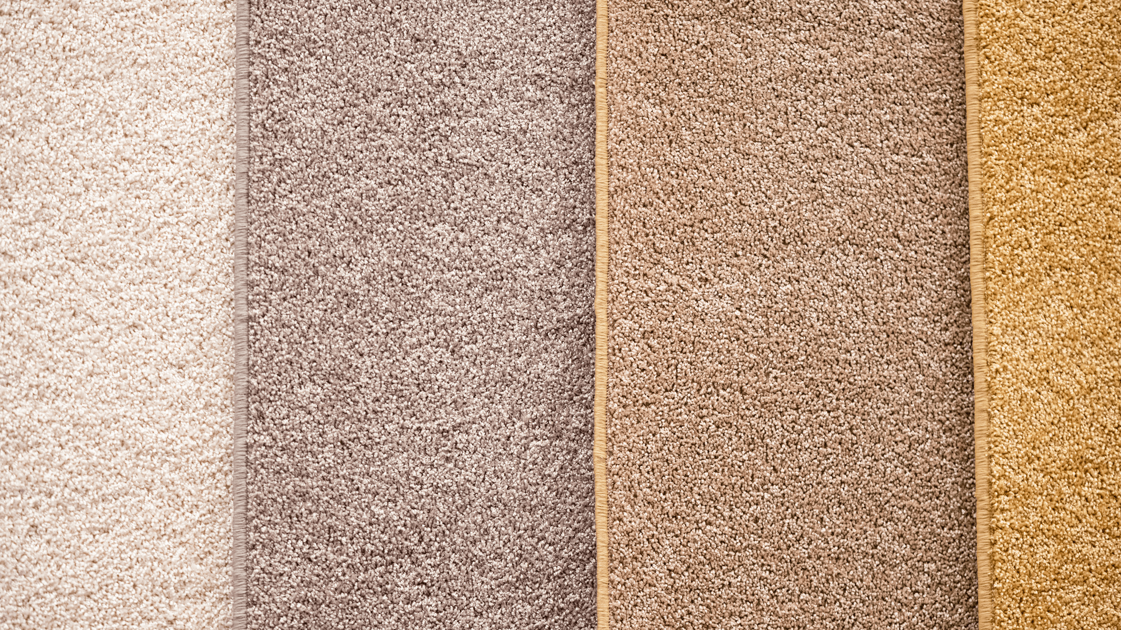 Carpet Flooring